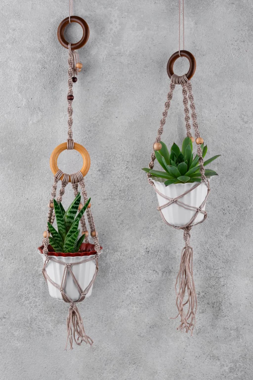 Plant Hangers